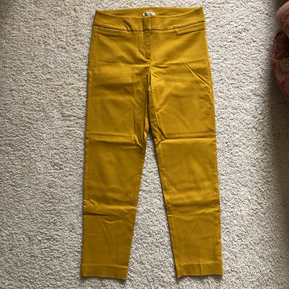 Mustard Yellow Pant